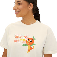 theme park springtime is the sweetest time with orange birdie, women's boxy graphic shirt 